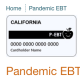 Pandemic EBT Cards