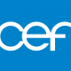 CEF 2021-2022 Application Process